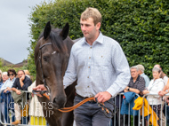 PN030825-60 - Gillespie